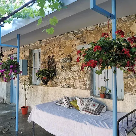 House Holiday home *