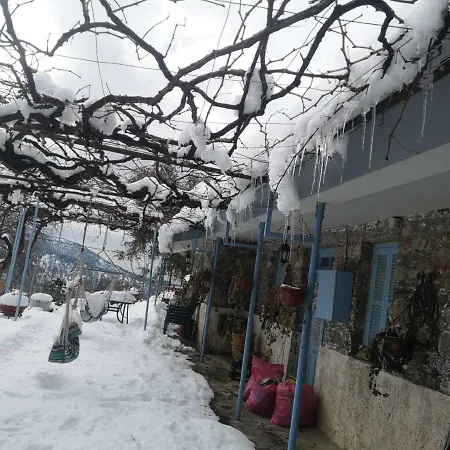 House Holiday home *