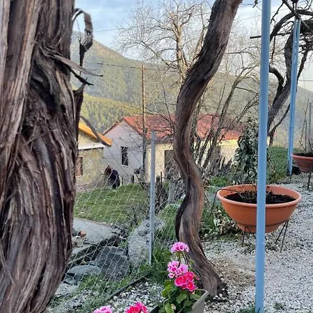 House Holiday home *