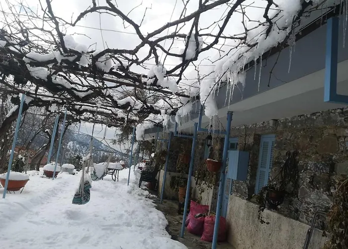 House Casa vacanze *