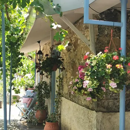 House Pródromosz