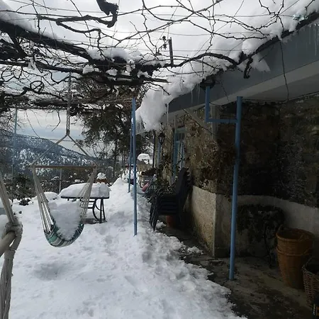 House *